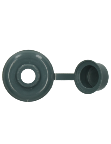 1 x Cover Cap Coach Screw Of 5 RAL7031