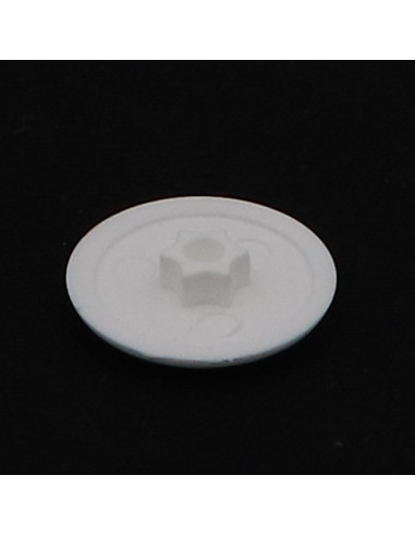 1 x Cover Cap Torx T30 Head Diameter: 17 white...