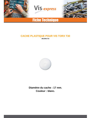 1 x Cover Cap Torx T30 Head Diameter: 17 white...