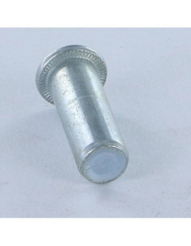 1 x Nut Rivet Flat Head one-eyed M10X29 ACPB 35...