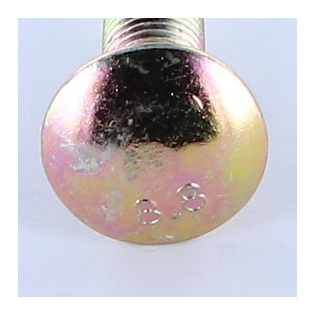 1 x Carriage Bolt M12X50 Thin Square Class 8.8 Zinc Plated 200 Hour Salt Spray Without Red Rust