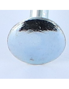 Carriage Bolt M6X110 Partial Thread Zinc Plated 2