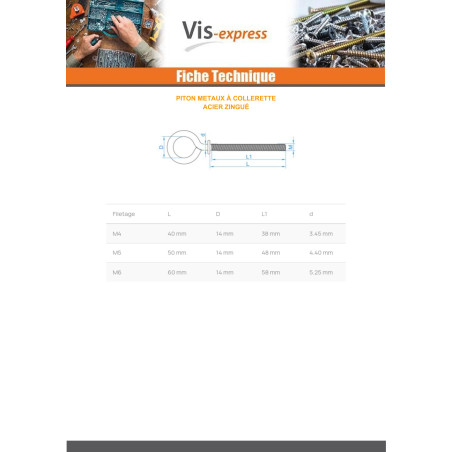 1 x Piton Machine With Collar 6X70 Zinc Plated