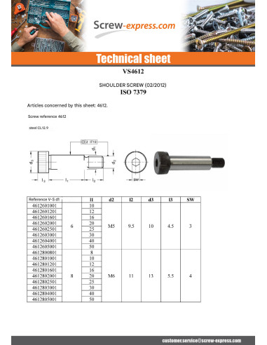 1 x Shoulder screw Hexagon Socket 4 M6/11 8X20...