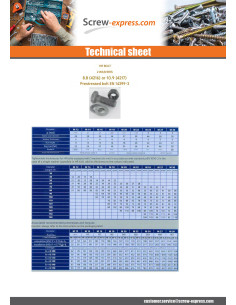 Bolt With Nut HR high resistance M20X80 2 Washer Class... 2
