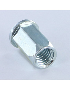 Rivet Nuts Hexagonal Flat Head M10X18 ACPTH 35 Zinc Plated 2