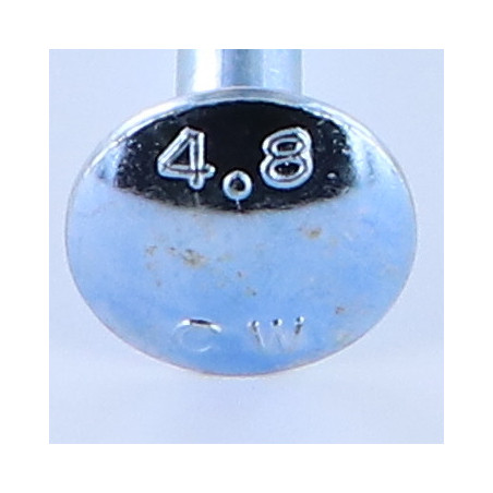 1 x Carriage Bolt M10X50 Partial Thread Zinc Plated