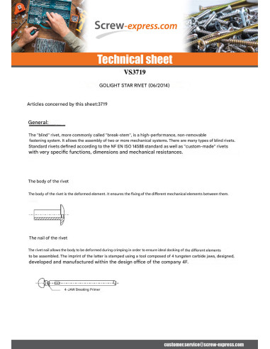 1 x Rivet Blind GOLIGHT ALU/ALU TRS 4.8X16 RAL