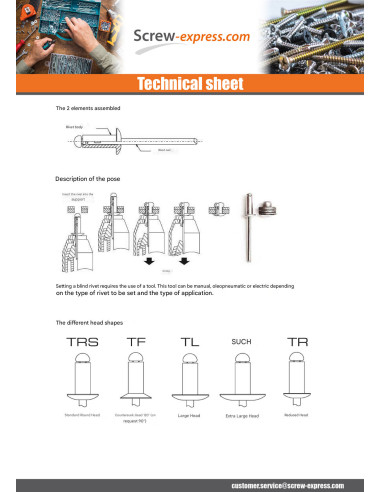 1 x Rivet Blind GOLIGHT ALU/ALU TRS 4.8X16 RAL