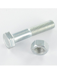 Bolt With Nut Hexagonal Head M20X60 Class 8.8 Sb Zinc Plated 2