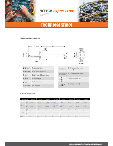 1 x Rivet Blind GOLIGHT ALU/ALU TRS 4X16