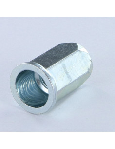 Nut Rivet Hexagonal Flat Head M6X13.3 ACPTH 30 Zinc Plated