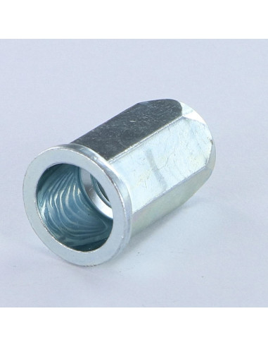 1 x Nut Rivet Hexagonal Flat Head M6X13.3 ACPTH...