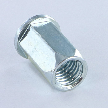 1 x Nut Rivet Hexagonal Flat Head M6X13.3 ACPTH 30 Zinc Plated
