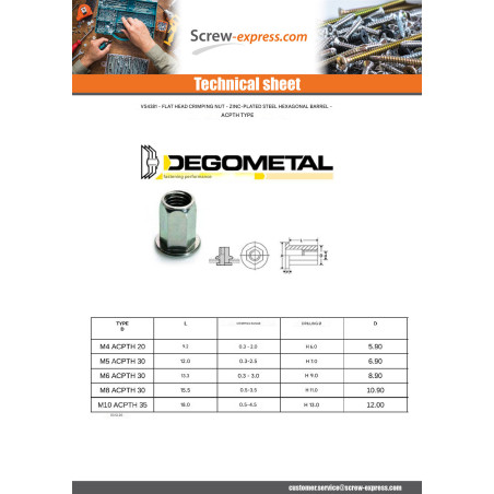 1 x Rivet Nuts Hexagonal Flat Head M6X13.3 ACPTH 30 Zinc Plated