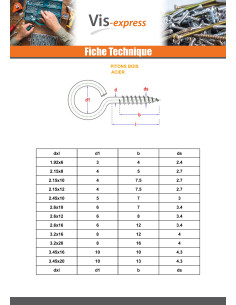 Piton Wood 7X100 Diameter Eye 19 to 21 Zinc Plated 2