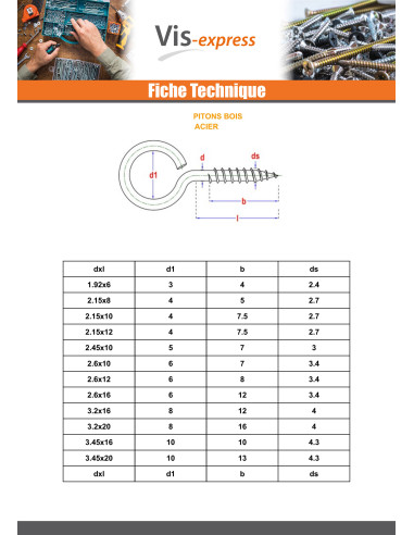 1 x Piton Wood 7X100 Diameter Eye 19 to 21 Zinc...