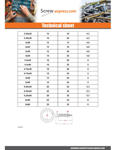 1 x Piton Wood 7X100 Diameter Eye 19 to 21 Zinc...
