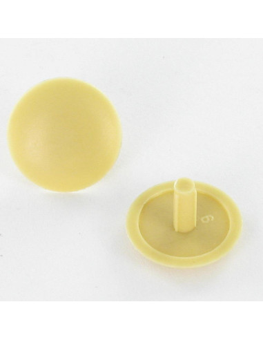 1 x Cap Plastique Head Diameter: 15 DT 3 Length...