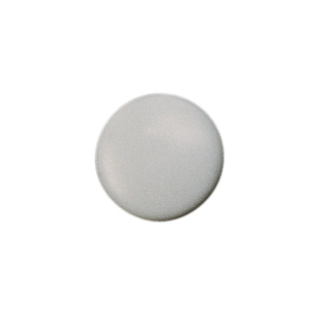 1 x Cover Cap Torx T30 Head Diameter: 17 Nylon Grey