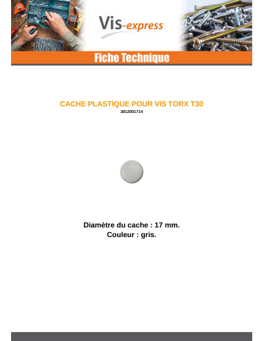 1 x Cover Cap Torx T30 Head Diameter: 17 Nylon...