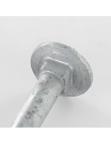 1 x Bolt With Nut Carriage Bolt M12X260 Partial...