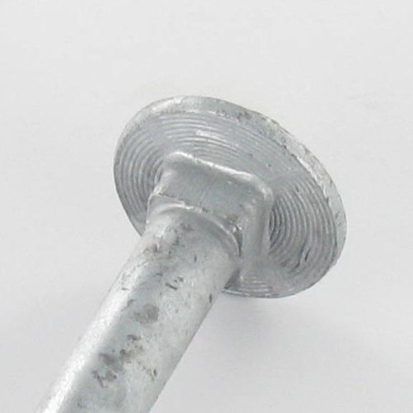 1 x Bolt With Nut Carriage Bolt M12X260 Partial Thread Hot Dip Galvanized