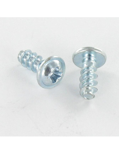 1 x Screw For Plastic Mushroom Pozi PZ2 4X12...