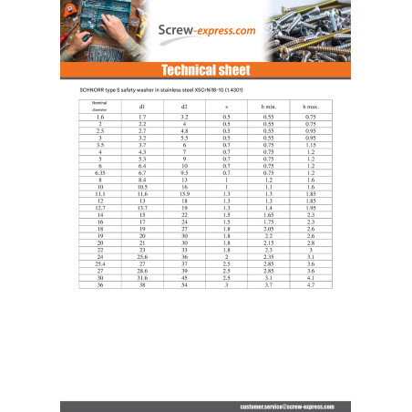 1 x Washer SCHNORR M10 Steel Type S 423000