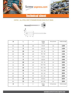 Rivet Steel/ steel ZING 4X6 Thickness Of Panel 0.5 to 2... 2