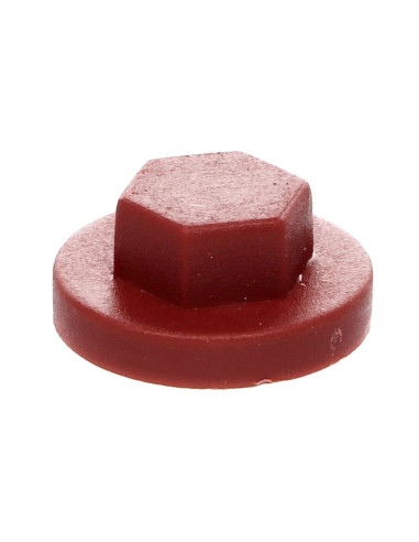 1 x Plastic cap Screw Diameter 6.3 Flat 10...