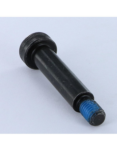 1 x Shoulder screw Hexagon Socket 5 M8/13 10X40...
