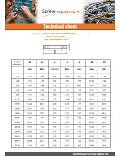 Washer Flat M22X45X3 M Steel 2