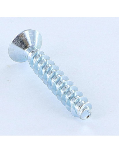 1 x Screw For Plastic Countersunk Head Pozi...