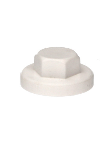 1 x Plastic cap Screw Diameter 6.3 Flat 10...