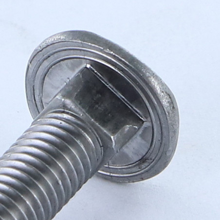 1 x Carriage Bolt Head DIAMOND M8X60 Steel