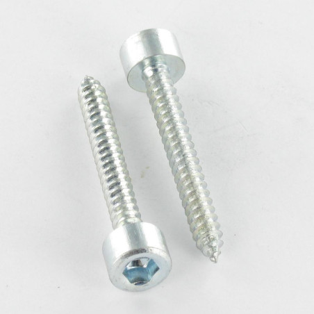 1 x Thread Rolling Screw Socket Head Hexagon Socket 5 4.8X32 Zinc Plated