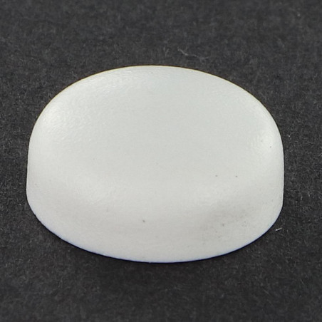 1 x Cover Cap Cylindrical Button Head Screw Diameter ST4.8 Nylon Ral9010/Pure White