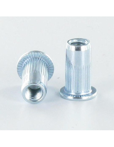 1 x NUT RIVET FLAT HEAD M10X19.5 ACPC35 ZINC...