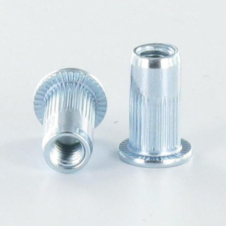 1 x Rivet Nuts Flat Head M10X19.5 ACPC35 Zinc Plated