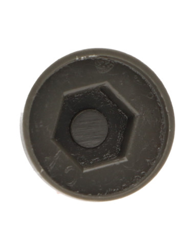 1 x Plastic cap Screw Diameter 6.3 Flat 10...