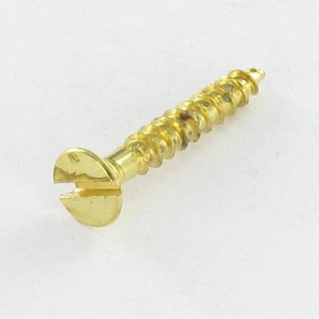 1 x Chipboard Screw Countersunk Head Slotted 3X20 Brass Plated Steel micro screw