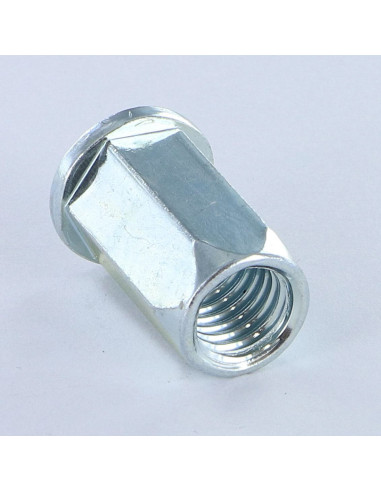 1 x Nut Rivet Hexagonal Flat Head M4X9.2 ACPTH...