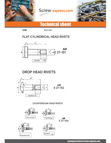 1 x Rivet FORES Cheese Head 5X27 Zinc Plated