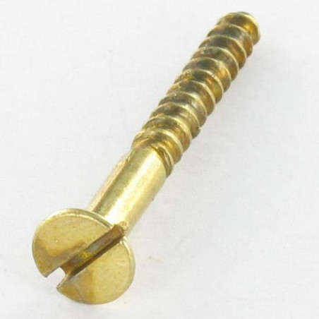 1 x Wood Screw Countersunk Head Slotted 3X16 Brass Plated Steel micro screw