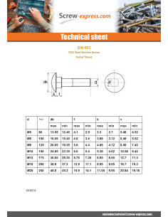 Carriage Bolt Partial Thread M12X200 Class 8.8 Zinc Plated 2
