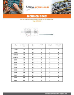 Adjusting screw for wooden window T25 6X60 Zinc Plated 2