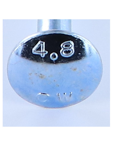 1 x Carriage Bolt Partial Thread M10X60 Zinc...