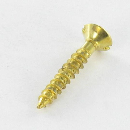 1 x Chipboard Screw Countersunk Head Slotted 3X17 Brass Plated Steel micro screw