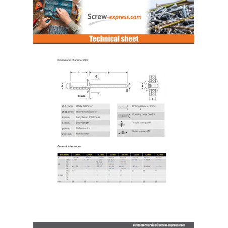 1 x Rivet Sealed Gostop Aluminum Steel rod Flat Head 4.8X14